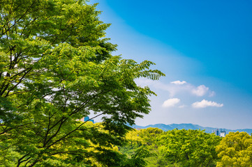 初夏の舞鶴公園【福岡県】