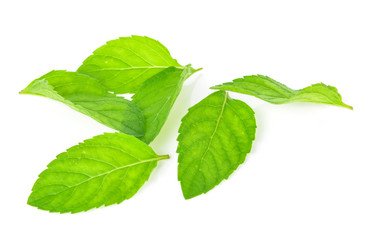 Naklejka na ściany i meble Fresh mint leafs isolated on a white background