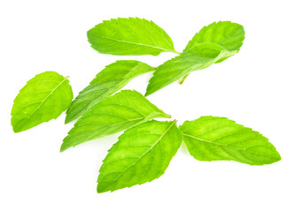 Fototapeta premium Fresh mint leafs isolated on a white background