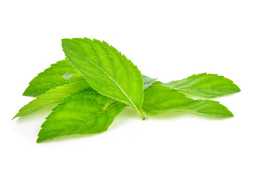 Fresh mint leafs isolated on a white background