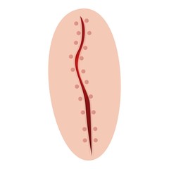 Dotted suture icon. Cartoon of dotted suture vector icon for web design isolated on white background