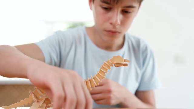The boy constructs a dinosaur from wooden 3d puzzle. Very passionate about his work. Studio video shot with very smooth dolly pan of child hobby in 4K definition.