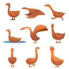 Goose icons set. Cartoon set of goose vector icons for web design