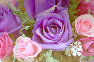 Soft color flowers