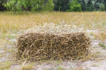A stack of hay. Dry grass. The texture of the hay. Stocks of feed for livestock. Farm business. Agricultural work. Country life. Mow in the field. Harvesting in the village.