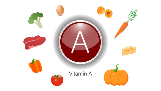 Vitamin B1 sources vector illustration