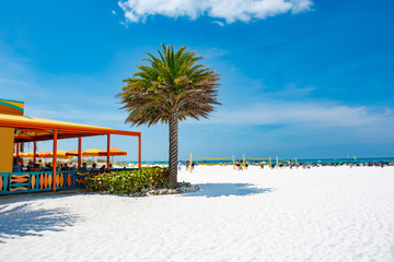 Wunderschöner weißer Sandstrand mit Palmen, Volleyballnetzen, Sonnenschirmen und grünem Ozean im Hintergrund. Golf von Mexiko, Clearwater Beach, Florida, USA.