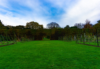 Natural landscape of green trees in a garden with large green field in cloudy blue sky day