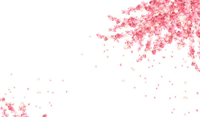 horizontal banner with pink flowers