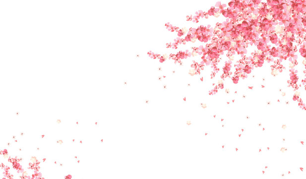 horizontal banner with pink flowers