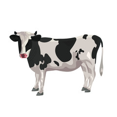 Cow on a white background. Vector graphics