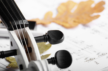 Close view of a white violin dry oak leaves and musical notes on wooden table