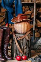 Autumn mood. Pumpkin, stump, tool, wood, hat, on veranda