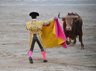 torero español