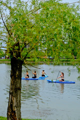Fototapeta premium Young girls paddling on SUP board on a calm lake at city. Sup surfing group women. Awesome active training in nature.