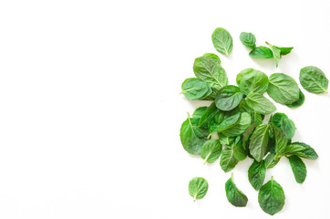 Top view of mint herbs on white background. - Image
