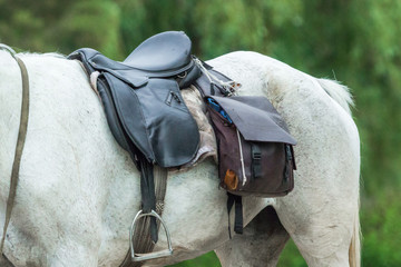 Horseback riding. Hippotherapy in equestrian club. Horse harness and stirrups. Saddle on a white...