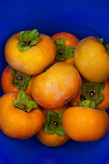 Persimmon in a blue bucket.