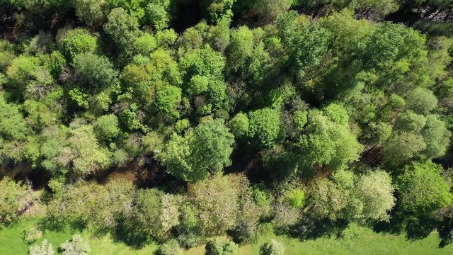 Aerial view of Gallery forests (Bosque de Ribera, Soto), Springtime, Ason river, Ramales, Cantabria, Spain, Europe