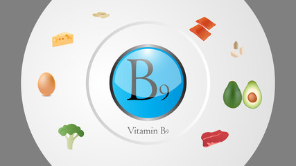 Vitamin B9 sources vector illustration