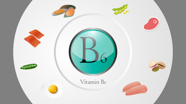 Vitamin B6 sources vector illustration