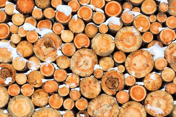 Firewood stacked in winter. Chopped stack of firewood under snow. Pile of Firewood. Preparation of firewood for the winter