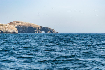 Fototapeta premium Water and island