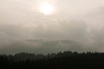 The plateau of Cansiglio