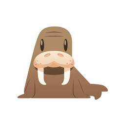 Cartoon walrus vector isolated illustration