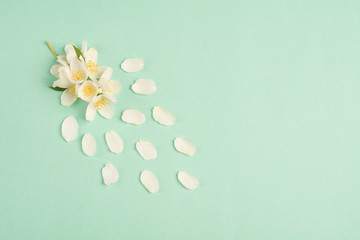 Fototapeta na wymiar Composition of white flowers and petals on green background. Top view. Copy space