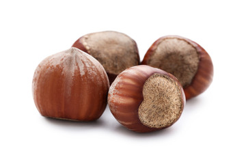 Fototapeta premium Hazelnuts isolated on white background