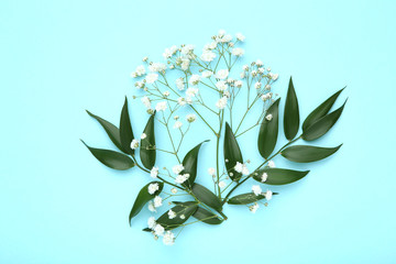 Gypsophila flowers and green leafs on blue background