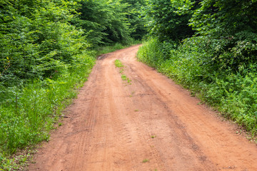 Fototapeta na wymiar Reddish Dirt Road in The Forest