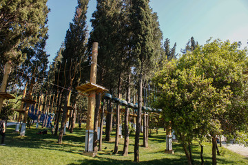 Fototapeta premium Sports equipment in the forest. Sky