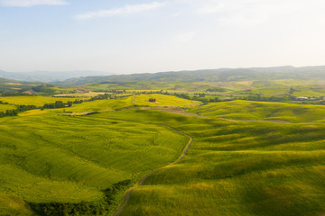 Fototapeta premium Val d'Orcia in Toscana, vista delle infinite valli verdi e d'orate di grano tra i colli senesi.