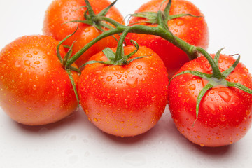 Tomates, rojos, frescos y saludables, los podemos comer crudos en ensaladas o bien podemos hacer mermeladas y salsas, los podemos rellenar con carne u otros vegetales. Los podemos cocinar