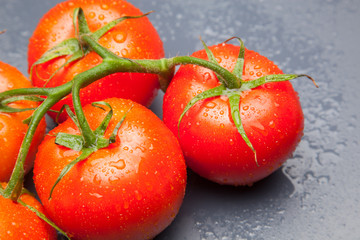 Tomates, rojos, frescos y saludables, los podemos comer crudos en ensaladas o bien podemos hacer mermeladas y salsas, los podemos rellenar con carne u otros vegetales. Los podemos cocinar