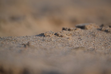 Sand