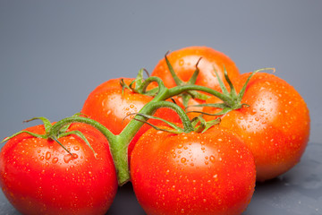 Tomates, rojos, frescos y saludables, los podemos comer crudos en ensaladas o bien podemos hacer mermeladas y salsas, los podemos rellenar con carne u otros vegetales. Los podemos cocinar