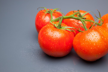 Tomates, rojos, frescos y saludables, los podemos comer crudos en ensaladas o bien podemos hacer mermeladas y salsas, los podemos rellenar con carne u otros vegetales. Los podemos cocinar