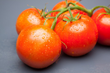 Tomates, rojos, frescos y saludables, los podemos comer crudos en ensaladas o bien podemos hacer mermeladas y salsas, los podemos rellenar con carne u otros vegetales. Los podemos cocinar