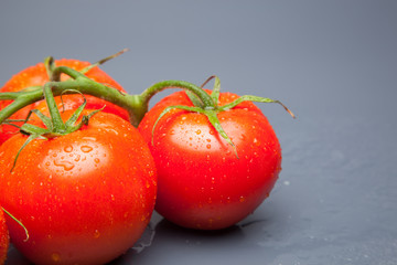 Tomates, rojos, frescos y saludables, los podemos comer crudos en ensaladas o bien podemos hacer mermeladas y salsas, los podemos rellenar con carne u otros vegetales. Los podemos cocinar