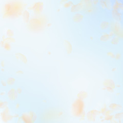 Yellow orange flower petals falling down. Wonderfu