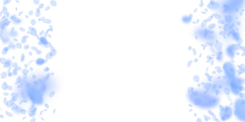 Dark blue flower petals falling down. Comely roman