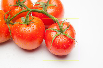 Tomates, rojos y frescos, llenos de vitaminas;  se pueden comer crudos o cocinados, se pueden hacer ensaladas, mermeladas, zumos, sofritos como base de comidas, ingrediente indispensable en las pizzas