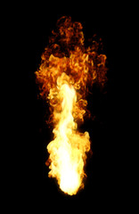 Large Fire With Long Flames Isolated On Black Background