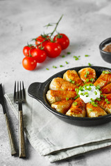 Russian stuffed cabbage rolls served with tomatoes, green onions and sour cream in heat-resistant black dishes on a gray background.