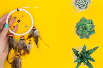 An Indian dreamcatcher with feathers lies in a woman's hand among cacti and succulents on a color bright yellow background. There is a place for text.