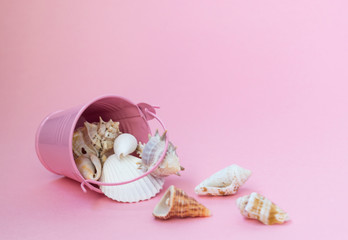 Sea shells of various sizes are scattered from a pink bucket on a pink background, empty space to the right. Maritime themes