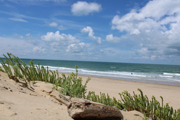 La C&ocirc;te Sauvage